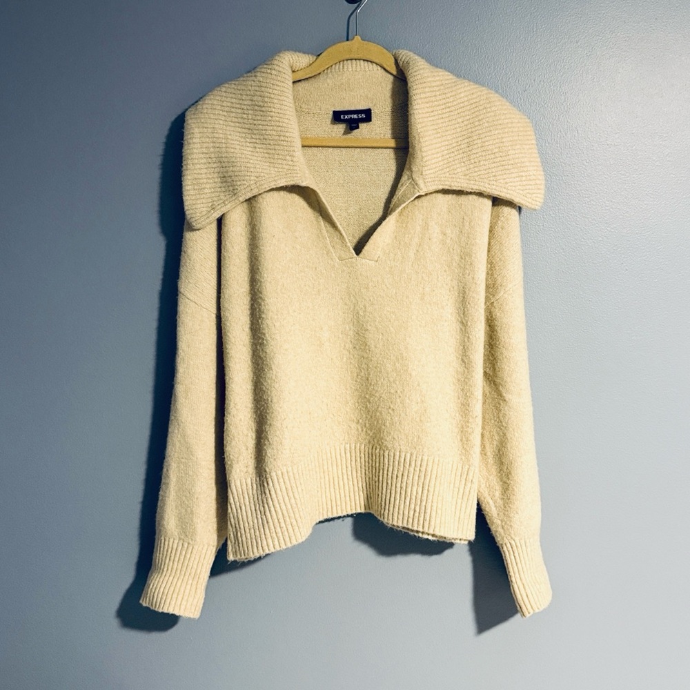 Express V-Neck Sweater